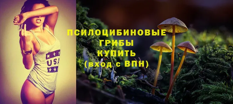 Галлюциногенные грибы Psilocybine cubensis  сайты даркнета наркотические препараты  Евпатория  закладки 